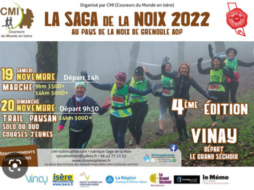 Saga de la noix